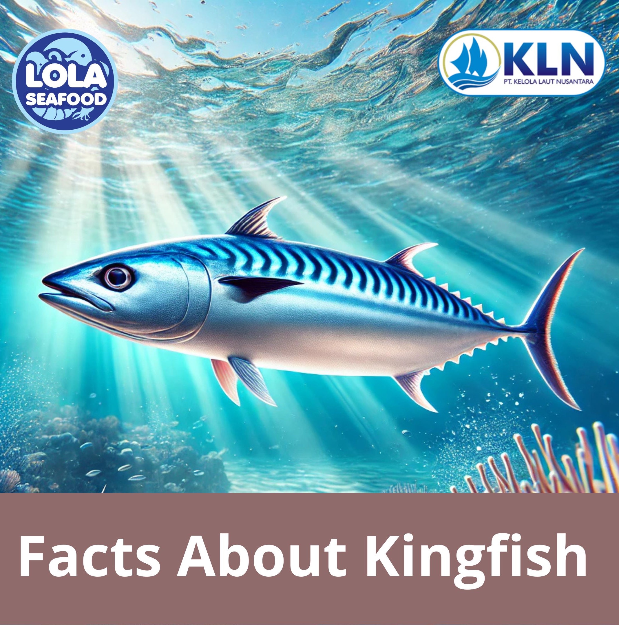 Why Kingfish is Known as a Healthy Source of Protein